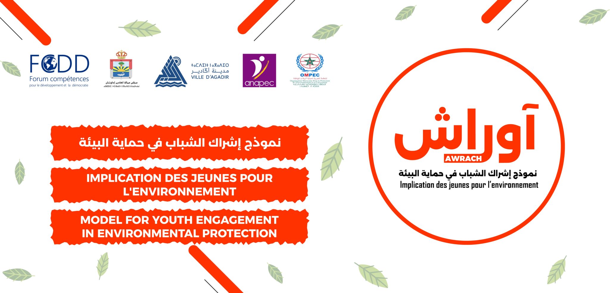 Artboard 1 copy 34x-100